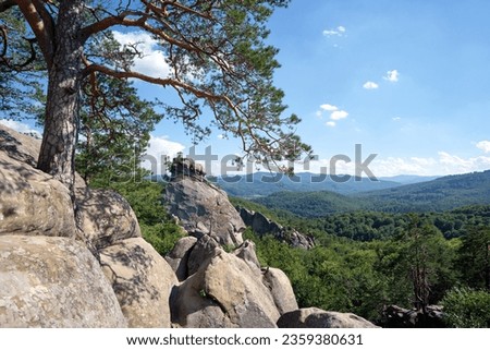 Big old pine tree growing on rocky mountain top under blue sky on summer mountain view background Royalty-Free Stock Photo #2359380631