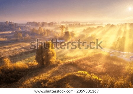Aerial view of village in fog with golden sunbeams at sunrise in autumn. Beautiful rural landscape with road, buildings, foggy colorful trees, church, orange sky with sun. Fall in Ukraine. Top view