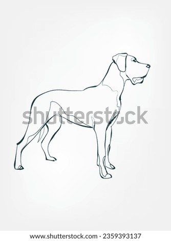 dog breed animal vector line art one line sketch outline