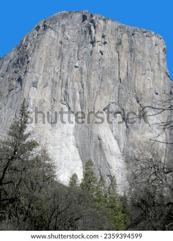 scenic view to el capitan, the famous rock in Yosemite valley Royalty-Free Stock Photo #2359394599