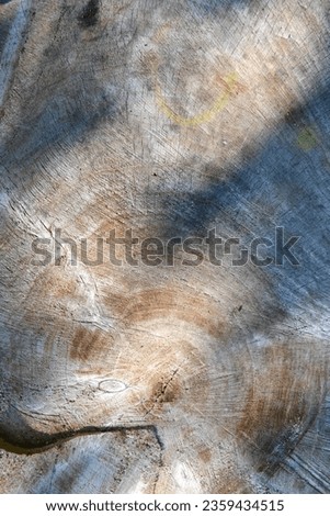 Wooden cross section showing growth rings. Wood structure, abstract background. Copy space. Dry old tree with cracks. High quality photo Royalty-Free Stock Photo #2359434515