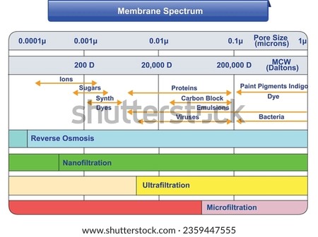 Vector Illustration for Membrane Spectrum Chart