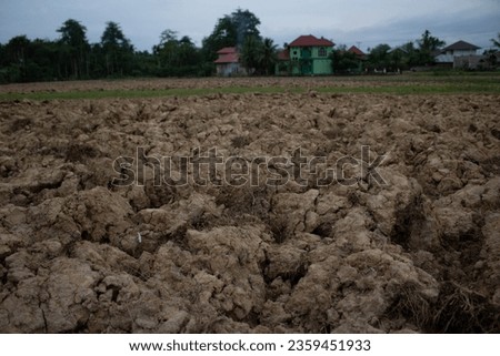 Dry soil texture during the dry season in Indonesian agricultural land.