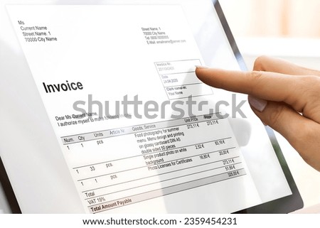 Online Digital E Invoice And Statements Software