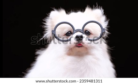 In this endearing image, a charming white dog captures hearts with its undeniable cuteness, further enhanced by a pair of round spectacles perched atop its adorable snout. Royalty-Free Stock Photo #2359481311