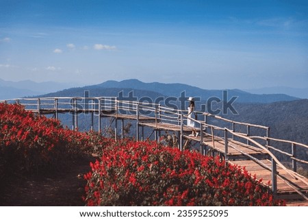 Winter travel relax vacation concept, Young happy traveler asian woman with dress sightseeing on red Celosia flowers field in garden at Mon Jam, Chiang Mai, Thailand Royalty-Free Stock Photo #2359525095