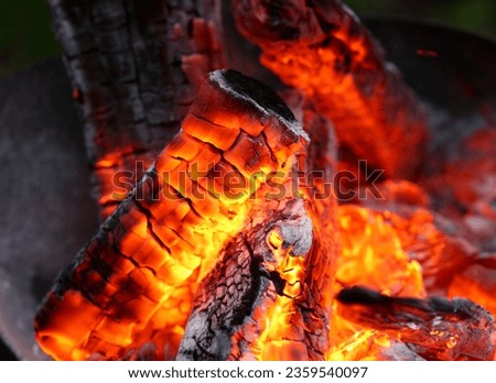 Focus on full of flames campfire possessing dead highly efficient type of forest wood specially cut for hot heat release usage in large scale amounts production. Blurred background