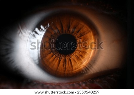 Human brown eye supermacro closeup background. Color contact lens concept Royalty-Free Stock Photo #2359540259