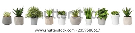 Set of artificial plants in flower pots isolated on white Royalty-Free Stock Photo #2359588617