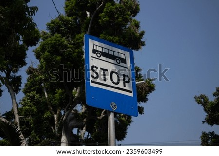 road markings that indicate public transport bus stops