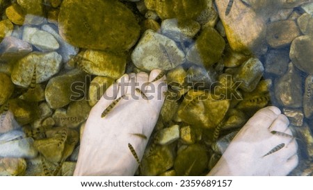 Clear and transparent mountain streams and small fish between the canyons of Dushan County, Guizhou, China.
