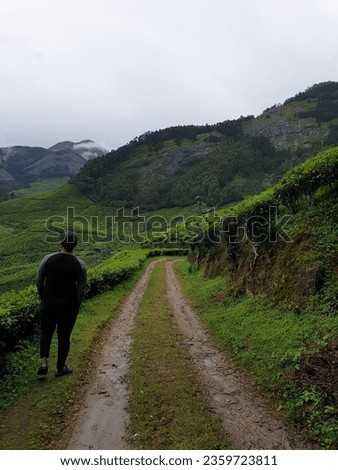 Man walking through tea plantations 