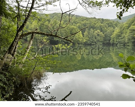 Amazing views of Seven Lakes Natural Park, Bolu, Turkey. It is named as Yedigöller in local language. Lakes are located between the pine and plane trees at Black Sea Region Forests.