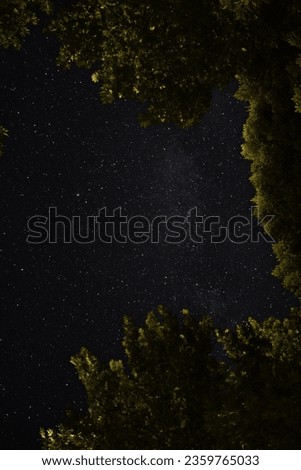 Milkyway line shot between trees