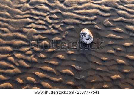 picture of structures in the mudflats with rippled sand and a stone in the middle