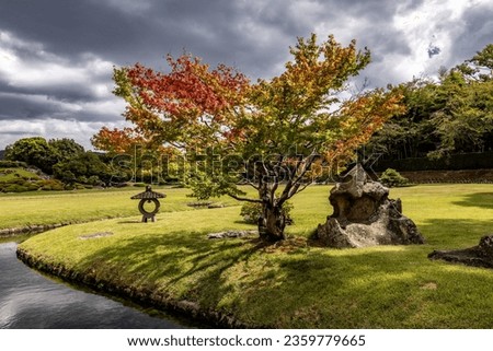 Beautiful tree isolated in Japanese garden of Okayama city