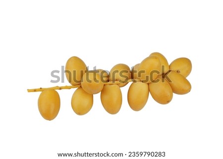 A bunch of fresh Date Palm (Phoenix dactylifera) isolated on white background. Royalty-Free Stock Photo #2359790283
