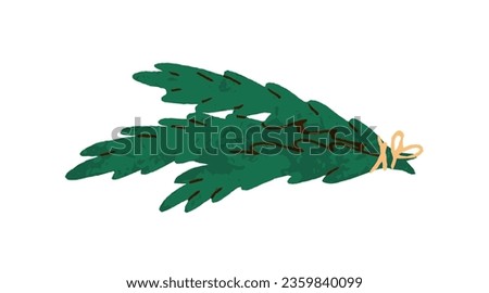 Fir tree branches tied with string. Decorative evergreen conifer pine twigs. Green natural living spruce decoration for winter holiday, Christmas. Flat vector illustration isolated on white background