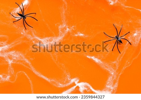 Spider web and spiders over orange background. Horror concept