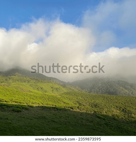 Stunning photograph of a mountainous landscape under a clear blue sky. The photo captures the grandeur of the mountain, which is covered in lush greenery and has a rocky peak.