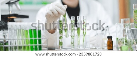 plant in medical pharmacy science research at chemical medicine laboratory for pharmaceutical industry, chemistry development scientist using equipment for health technology experiment or biology drug Royalty-Free Stock Photo #2359881723