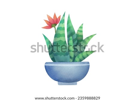 Watercolor Cacti isolated on white background for stickers, greeting cards, scrapbooking. Cute Indoor plants, succulents in clay pot. One single object, front view. cut out clip art element