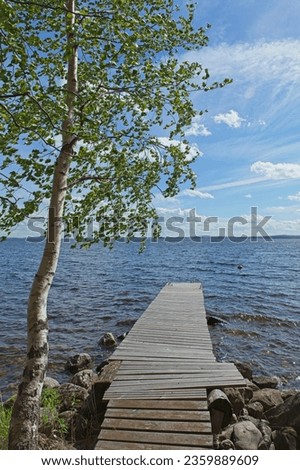 Tree and wooden pier on lake shore on a sunny autumn day.