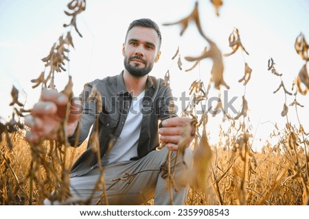 Farmer agronomist on a soybean field. Agricultural industry