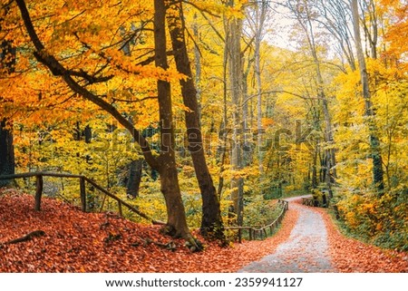 Stunning nature panorama of peaceful forest. Autumn trail path landscape with morning mist and sunshine. Colorful leaves, dream nature landscape. Tranquil orange yellow leaves. Panoramic inspire scene Royalty-Free Stock Photo #2359941127