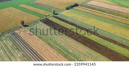 Scenic rows late summer early autumn countryside farms in sunny day. Aerial photography, top view drone shot. Agricultural industry fields landscape geometry texture. Seasonal drone view, food ecology
