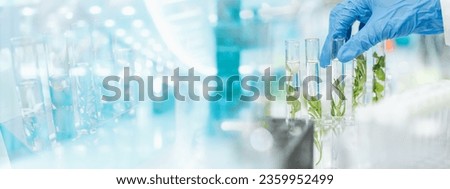 plant science laboratory research, biological chemistry test, green nature organic leaf experiment in test tube, scientist working in chemical medicine biotechnology or medical ecology lab technology Royalty-Free Stock Photo #2359952499