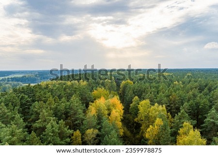 Aerial Shot of Neman River Amidst Autumn Woods, Druskininkai, Lithuania. Royalty-Free Stock Photo #2359978875