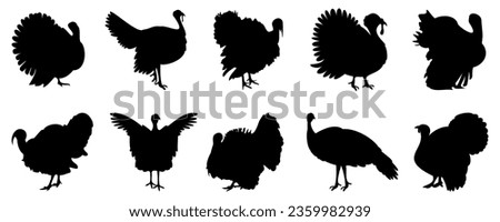 Turkey bird silhouette in black. Set of turkeys silhouette isolated for Thanksgiving Day. Turkey icons