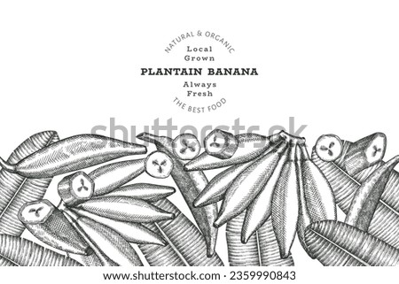 Hand drawn sketch style plantain banner. Organic fresh fruit vector illustration. Retro exotic banana fruit design template Royalty-Free Stock Photo #2359990843