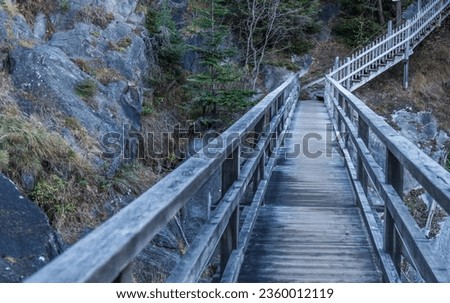 Empty wooden footpath on a mountain in the forest.