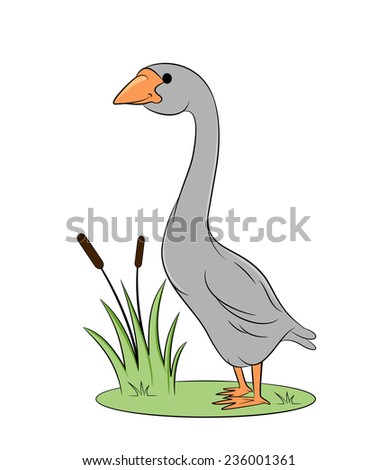 An illustration of cartoon Swan