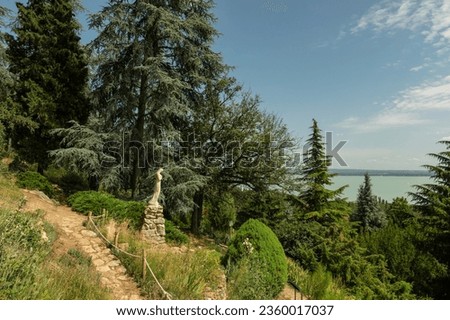 Landscape view on Folly Arbor from Badacsonyors, Hungary. Famous about pine trees and cedars. Royalty-Free Stock Photo #2360017037