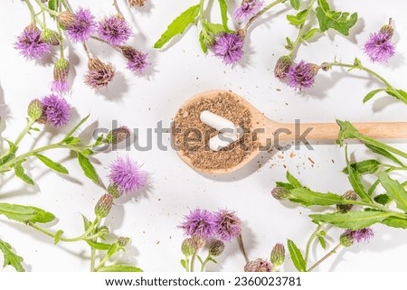 Milk Thistle supplies, powder and oil. Silybum marianum, natural organic wild flower superfood product - whole and grain seeds, pills, oil with fresh thistle flowers Royalty-Free Stock Photo #2360023781