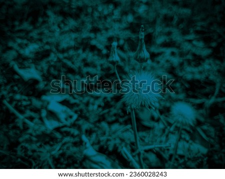 Multi type of flowers with plant silhouette