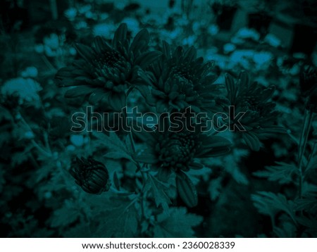 Multi type of flowers with plant silhouette
