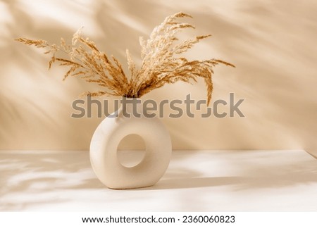 Modern ceramic vase with pampas grass on the table and sunlight shadows, scandinavian interior design. Stylish vase on table,  bohemian home decoration, aesthetic style, copy space