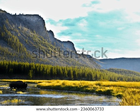 Beautiful scenic pictures in Yellowstone National Park