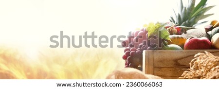 Rich Chuseok holiday and church Thanksgiving fruit decorations, various crops and vegetables, and harvest season ripe golden rice and barley fields farm autumn scenery, banner background
