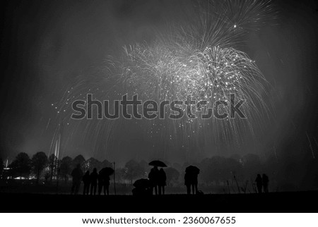 Black and white picture of fireworks in the night sky, in the park, with group of people on the background.