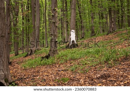 Halloween silhuette, ghost or alien pictured on tree in forest. Scenic, mystic, postcard view, wallpaper