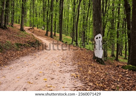 Halloween silhuette of man, ghost or alien pictured on tree in forest. Scenic, mystic, postcard view, wallpaper