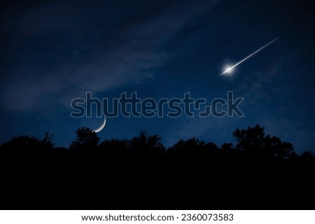 Shooting star, waxing Moon, Milky way and tree silhouettes. Royalty-Free Stock Photo #2360073583