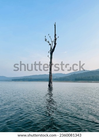 Parambikkulam tiger reservoir.crystal clear water and Royalty-Free Stock Photo #2360081343