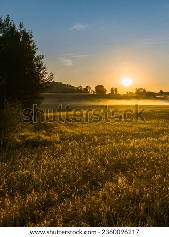 Sunrise time bay Lake Sivers.  Nature of Latvia, Latgale.