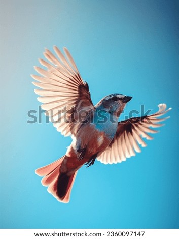 Image of a bird flying high in the sky with bright blue in the background. The bird is seen flapping its wings, and we can see it from below, adding drama to the composition. 